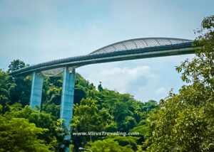 11Henderson Waves Bridges Singapore