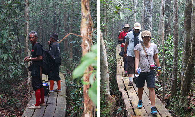 trekking-taman-nasional-sebangau