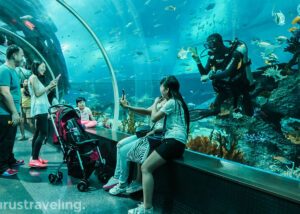 11Selfie bareng diver di sea aquarium singapore