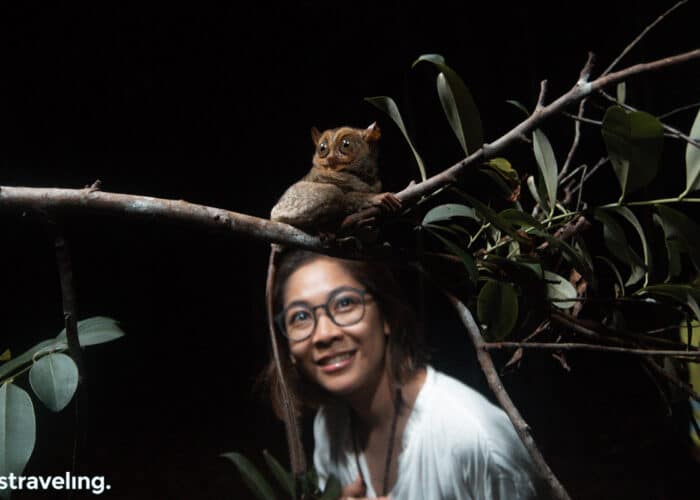 Tarsius Belitung