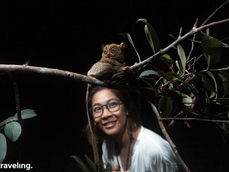 Tarsius Belitung